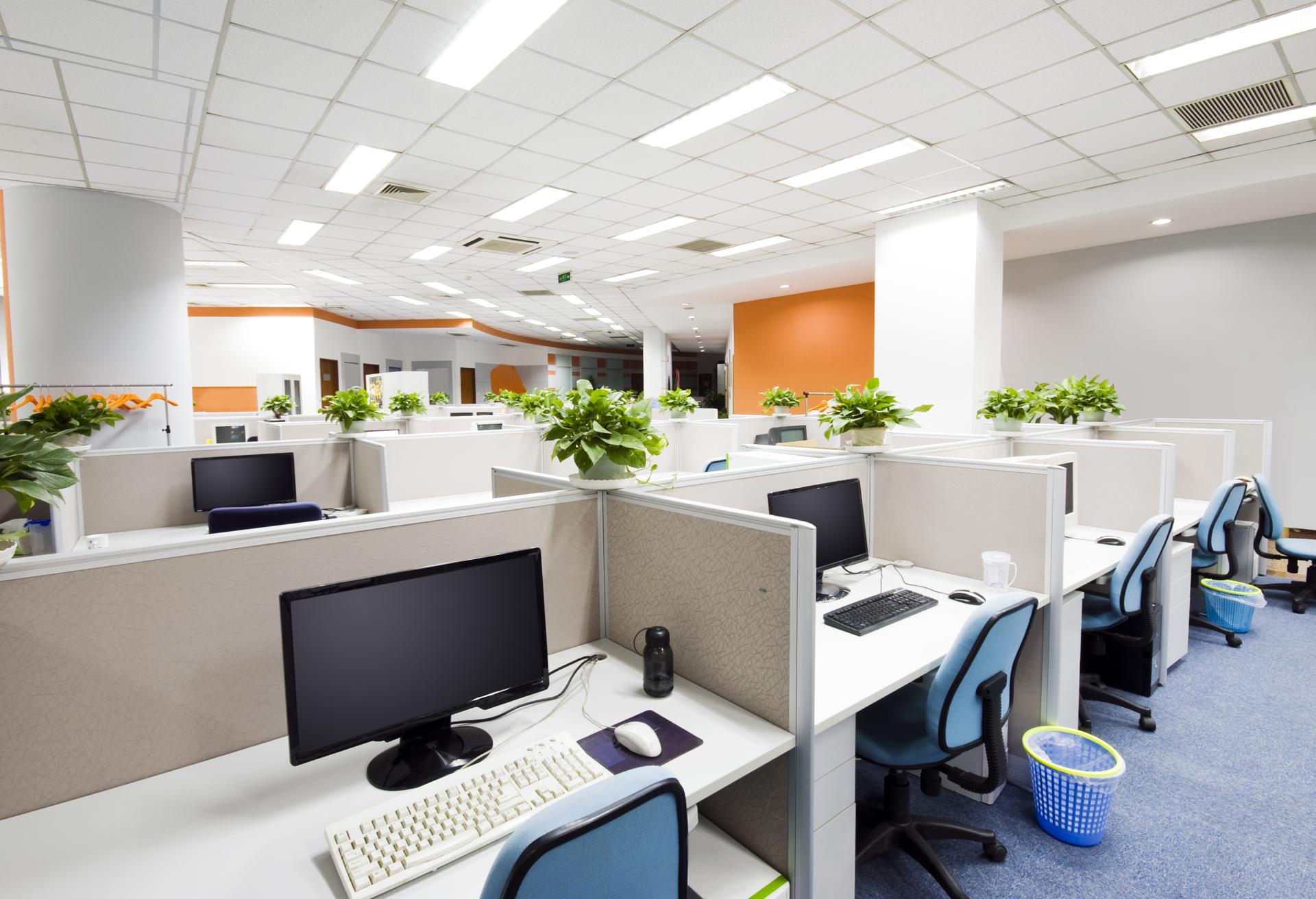 Cost-Effective Janitorial Cleaning Service In Beenleigh